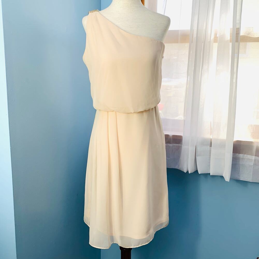 NWT Adrianna Papell Pink Blush One-Shoulder Chiffon Dress Size 4 - Picture 6 of 10